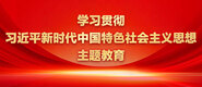 男生插阴视频学习贯彻习近平新时代中国特色社会主义思想主题教育_fororder_ad-371X160(2)